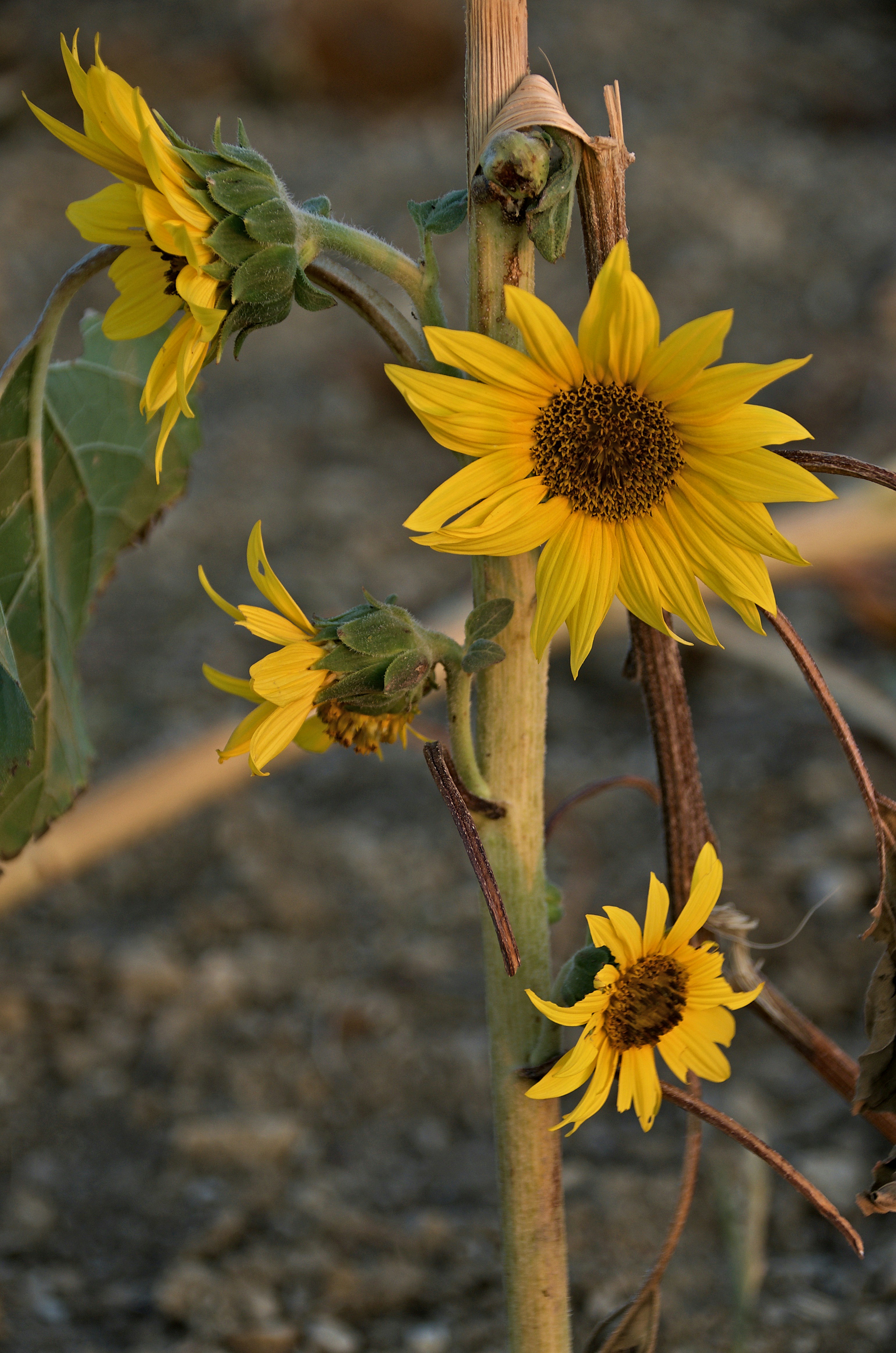 Photo by mariobeducci