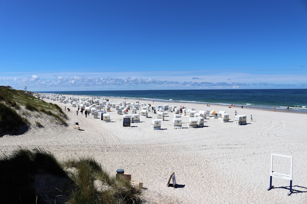 personnes sur la plage pendant la journée