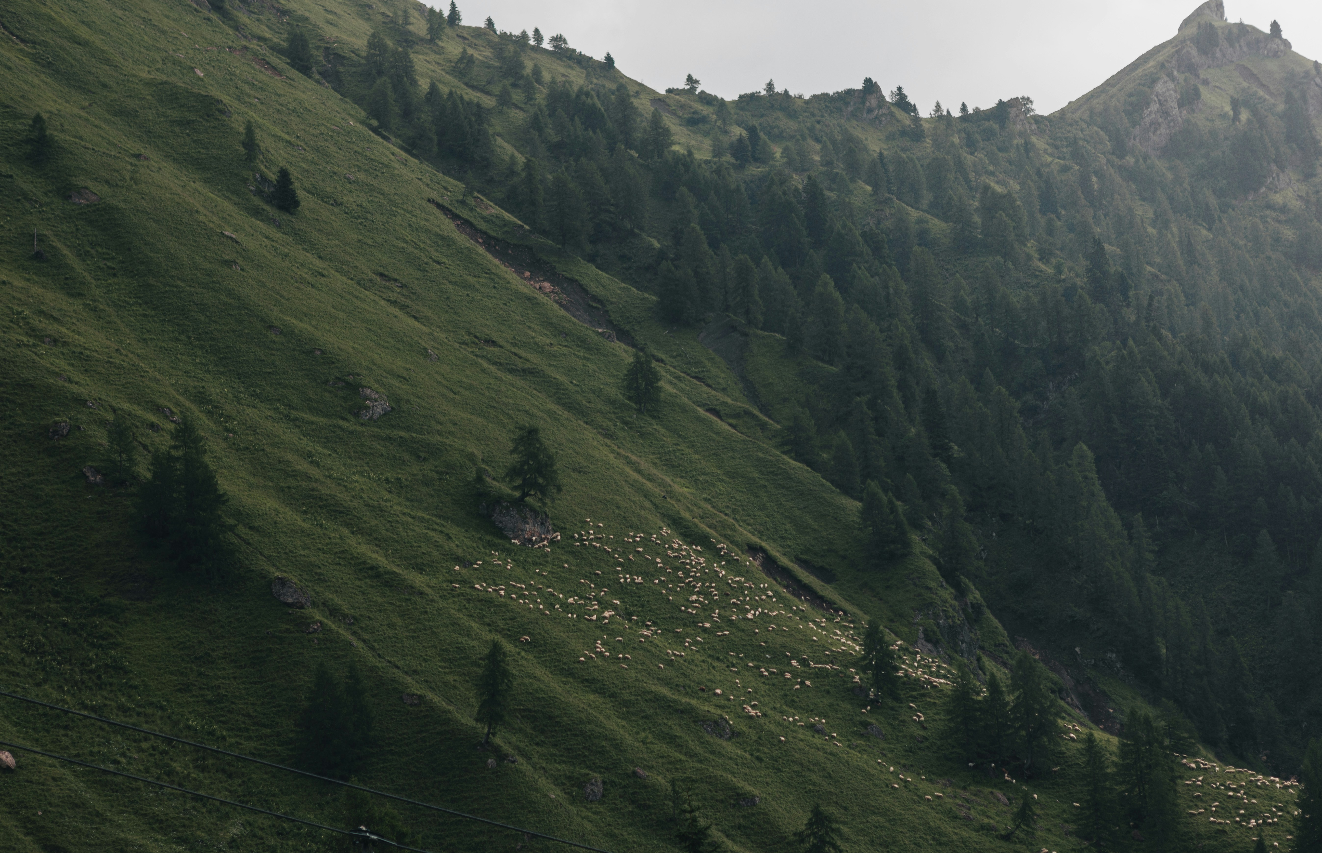 Photo by alex_gruber