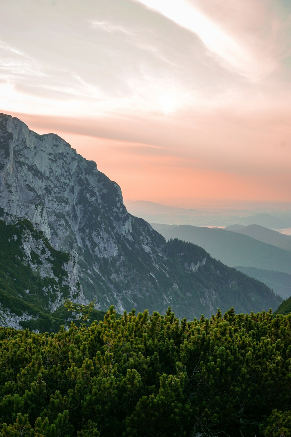 green trees on mountain during daytime