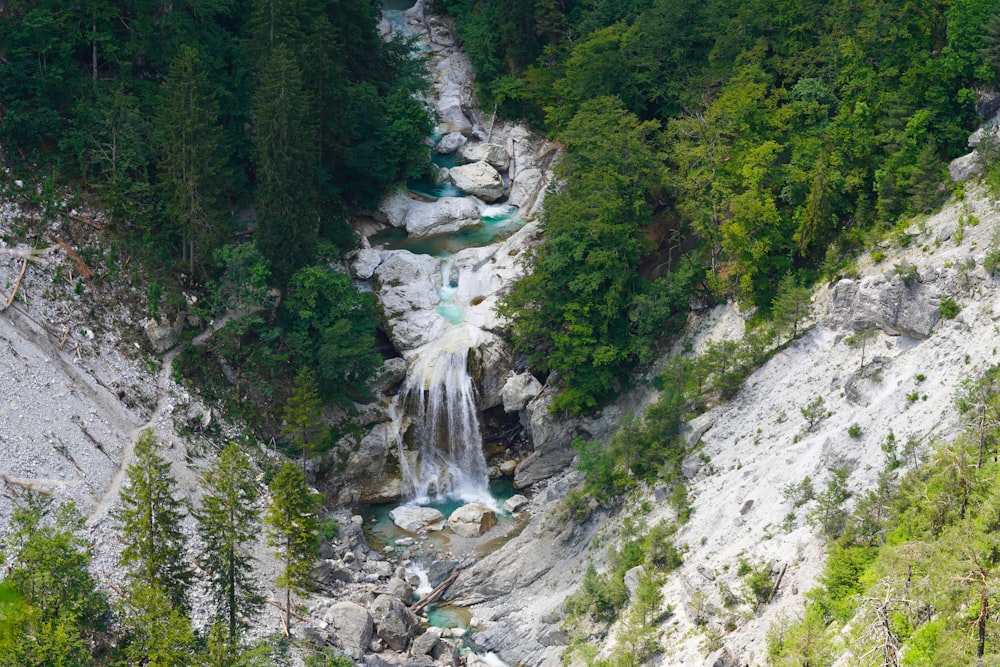 waterfalls in the middle of green trees