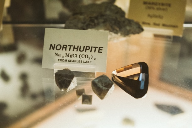 a display case with a sign and some rocks