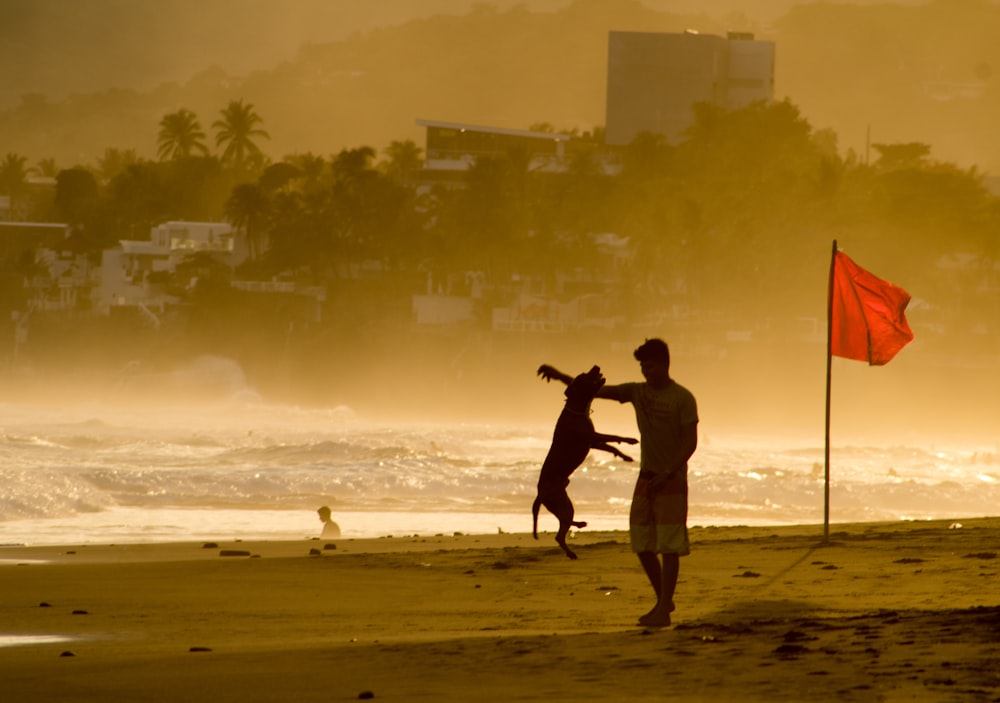 man in black shorts and black shirt holding a white surfboard walking on the beach during