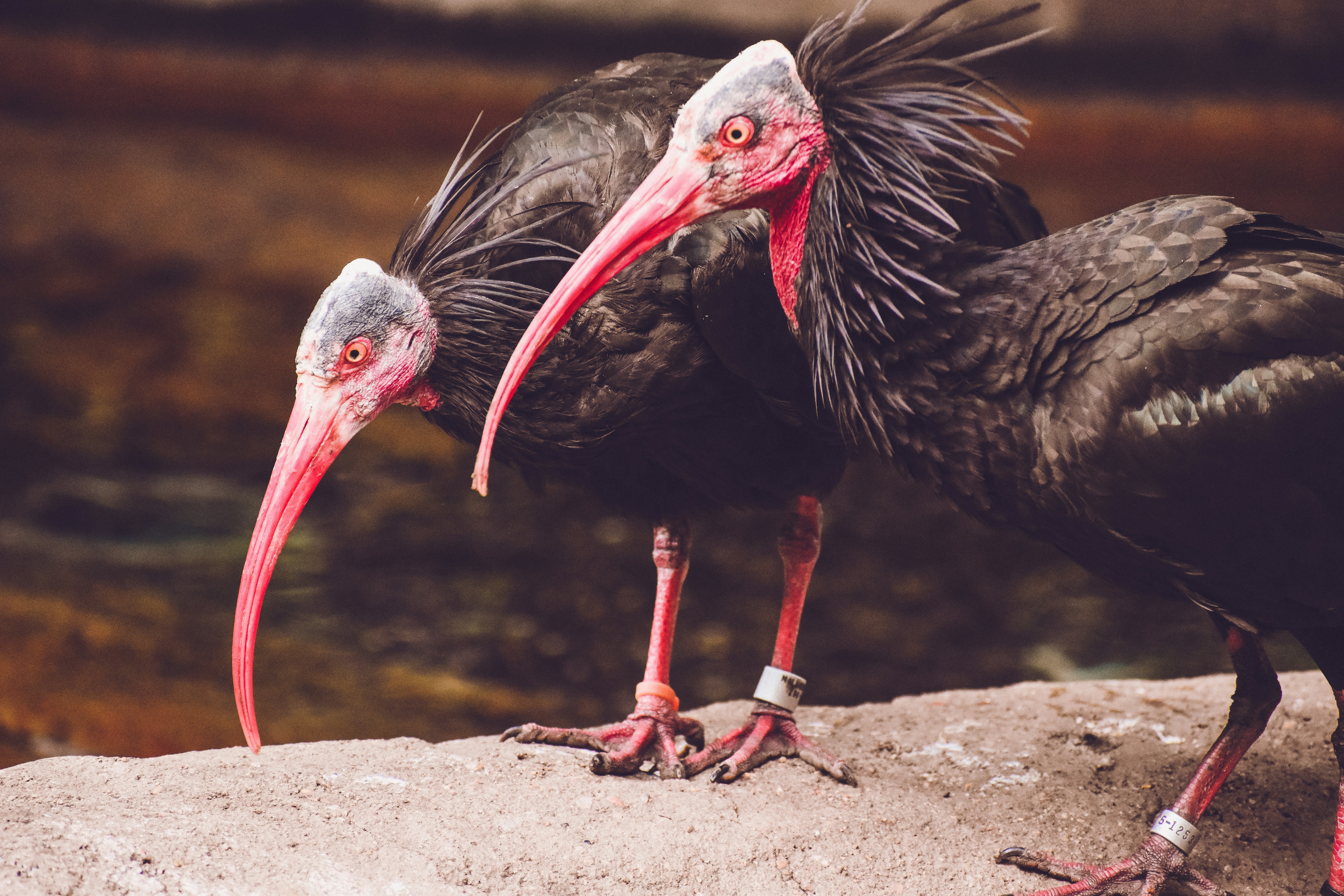 Photo by mmmkaydesign