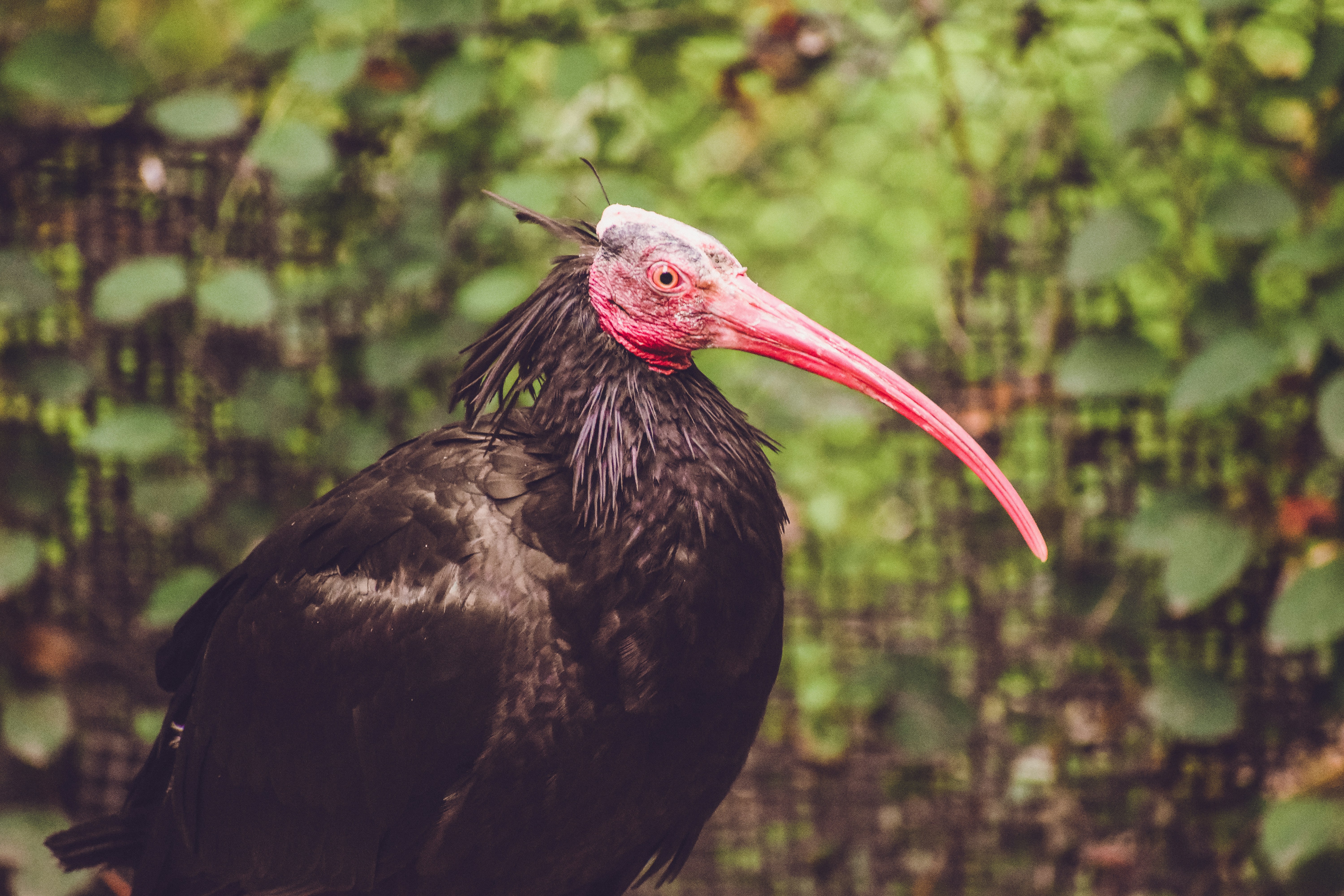 Photo by mmmkaydesign