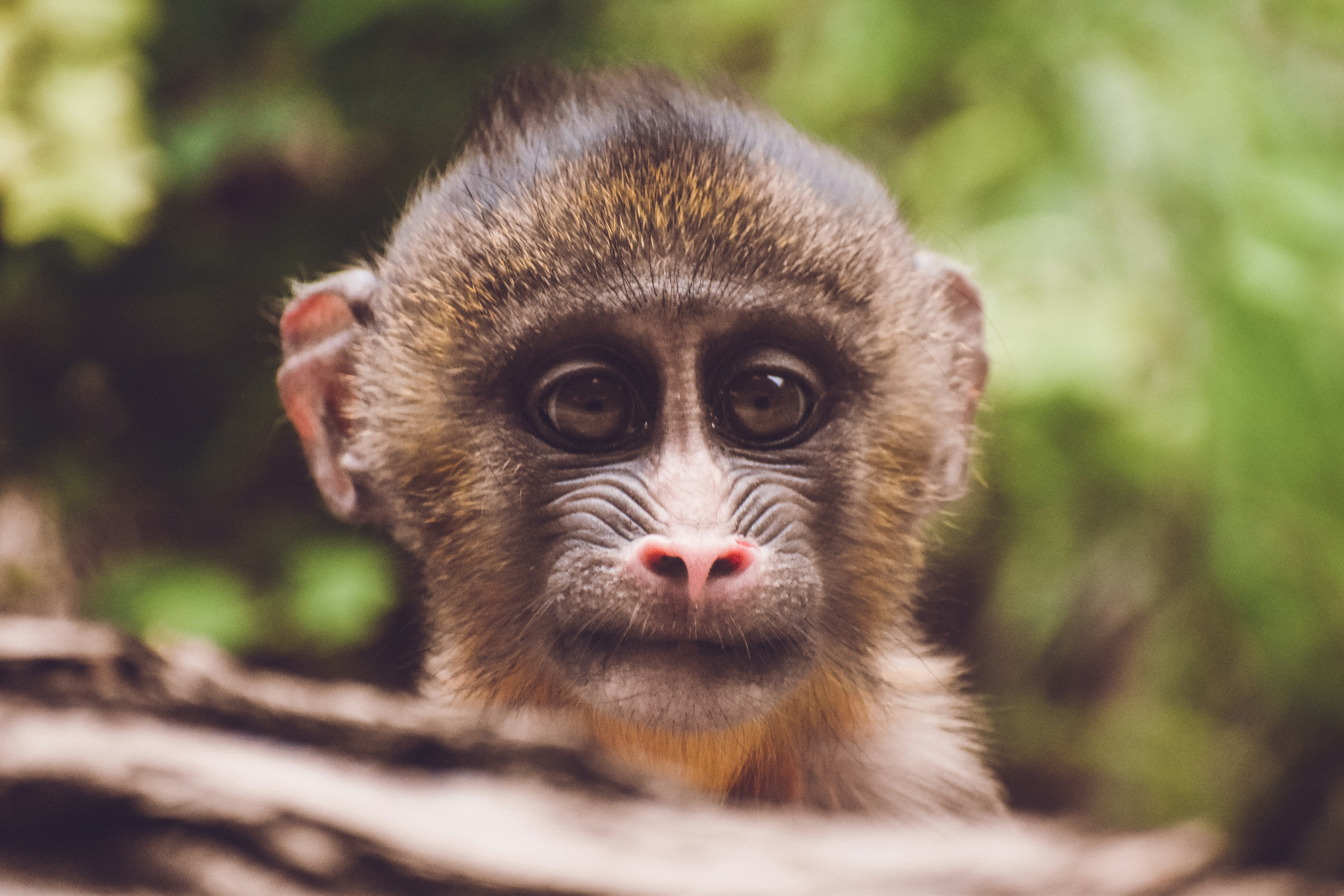 Photo by mmmkaydesign