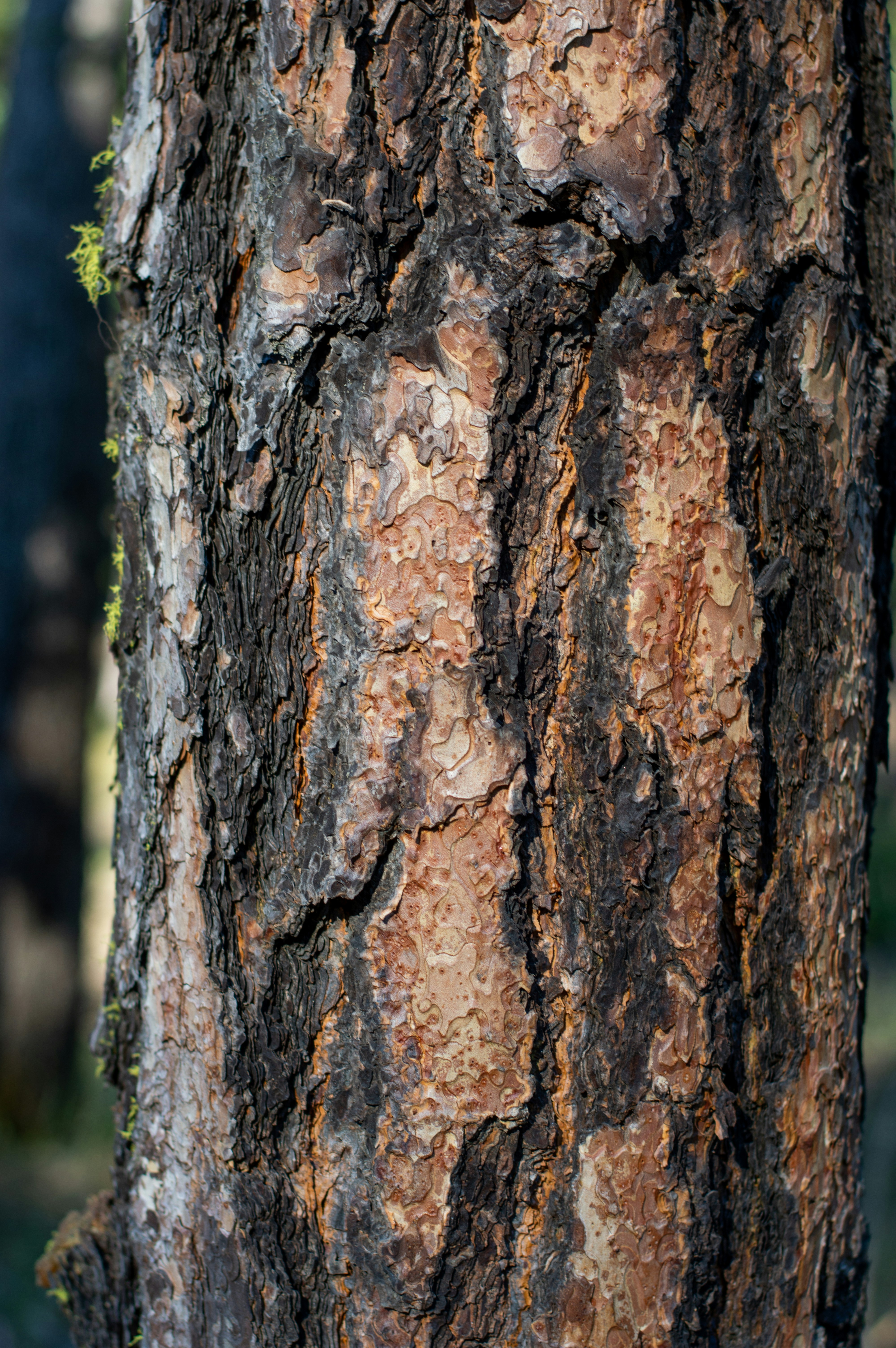 Photo by aliavictoriaphotography