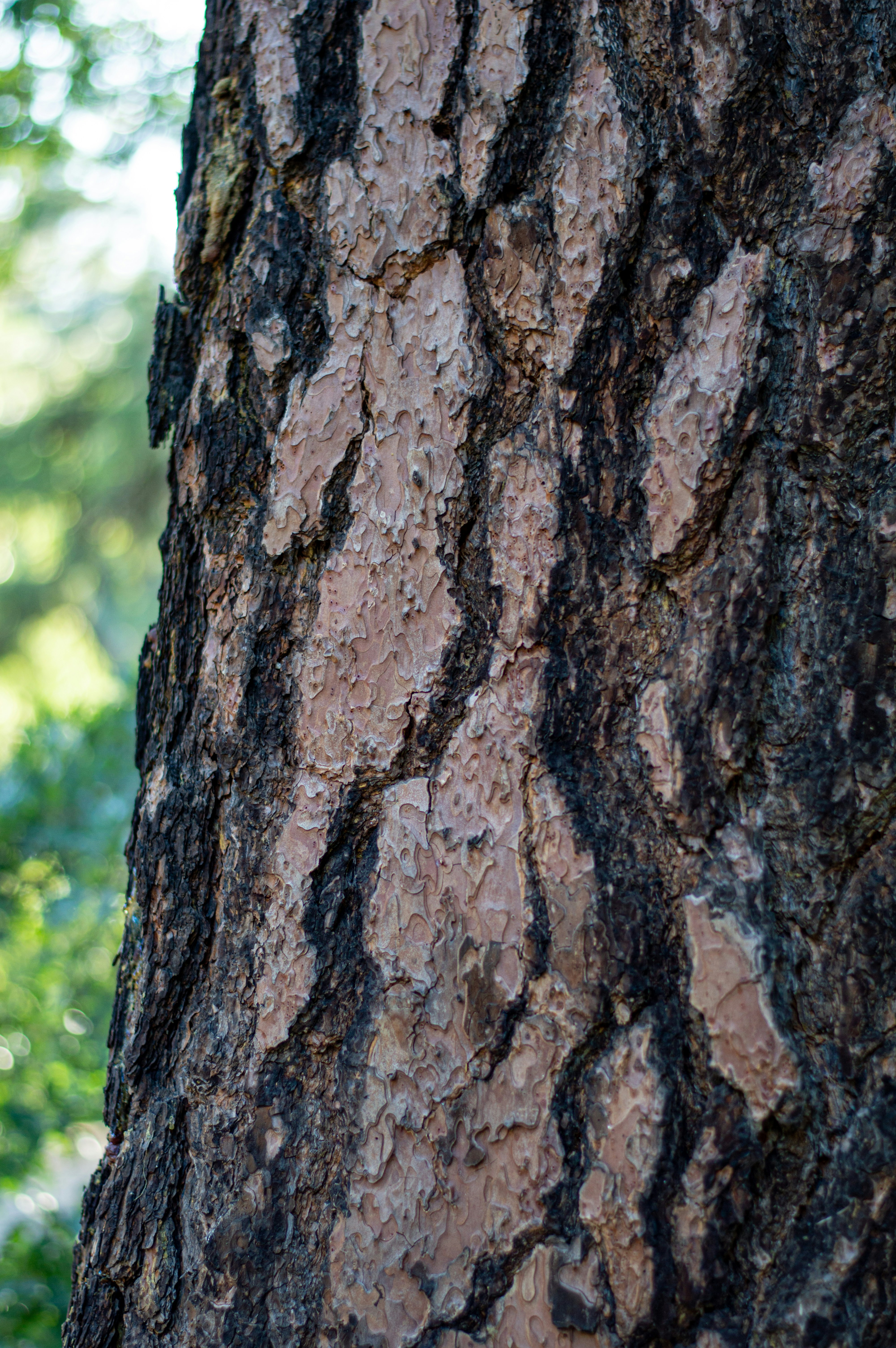 Photo by aliavictoriaphotography