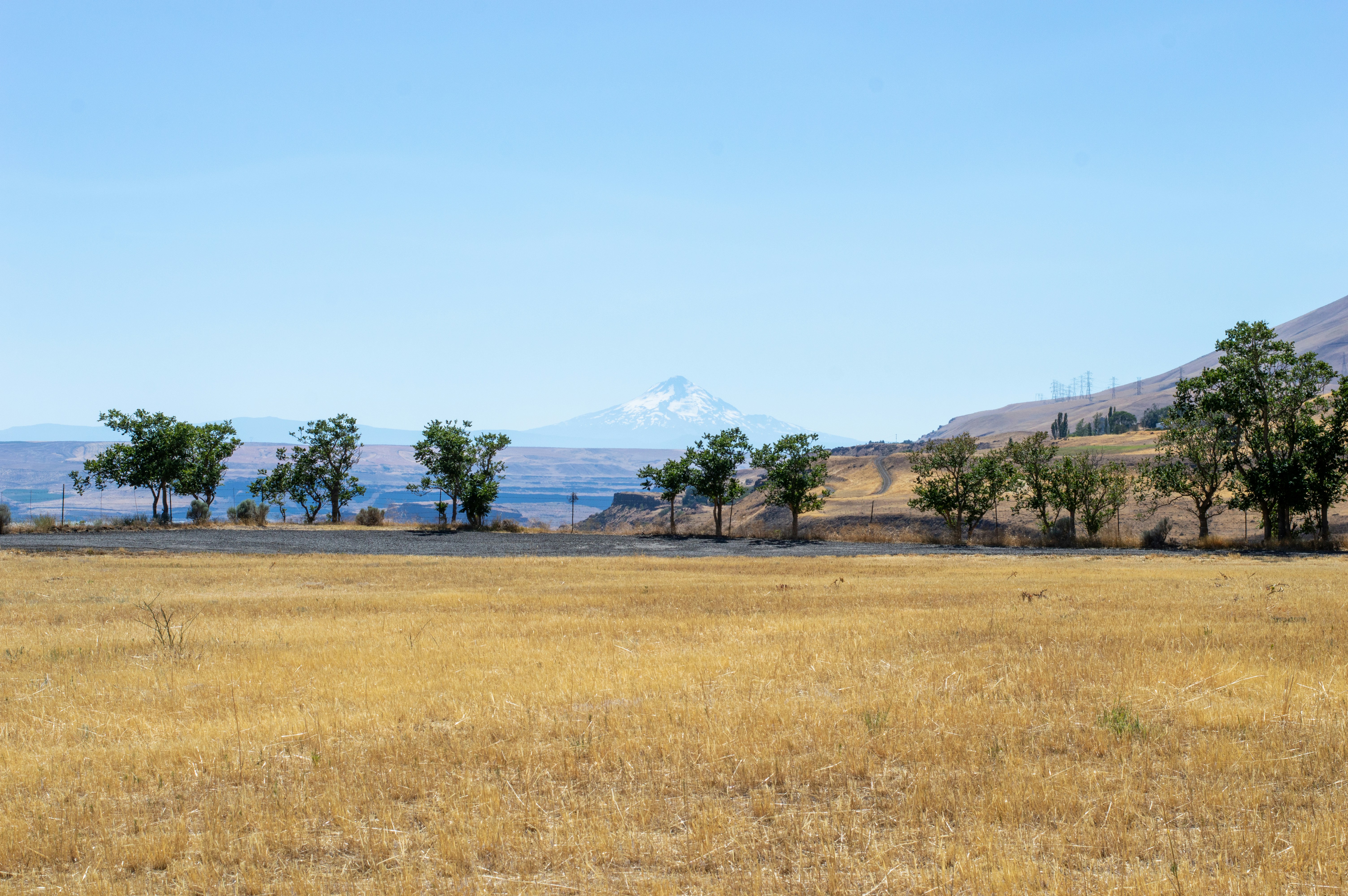 Photo by aliavictoriaphotography