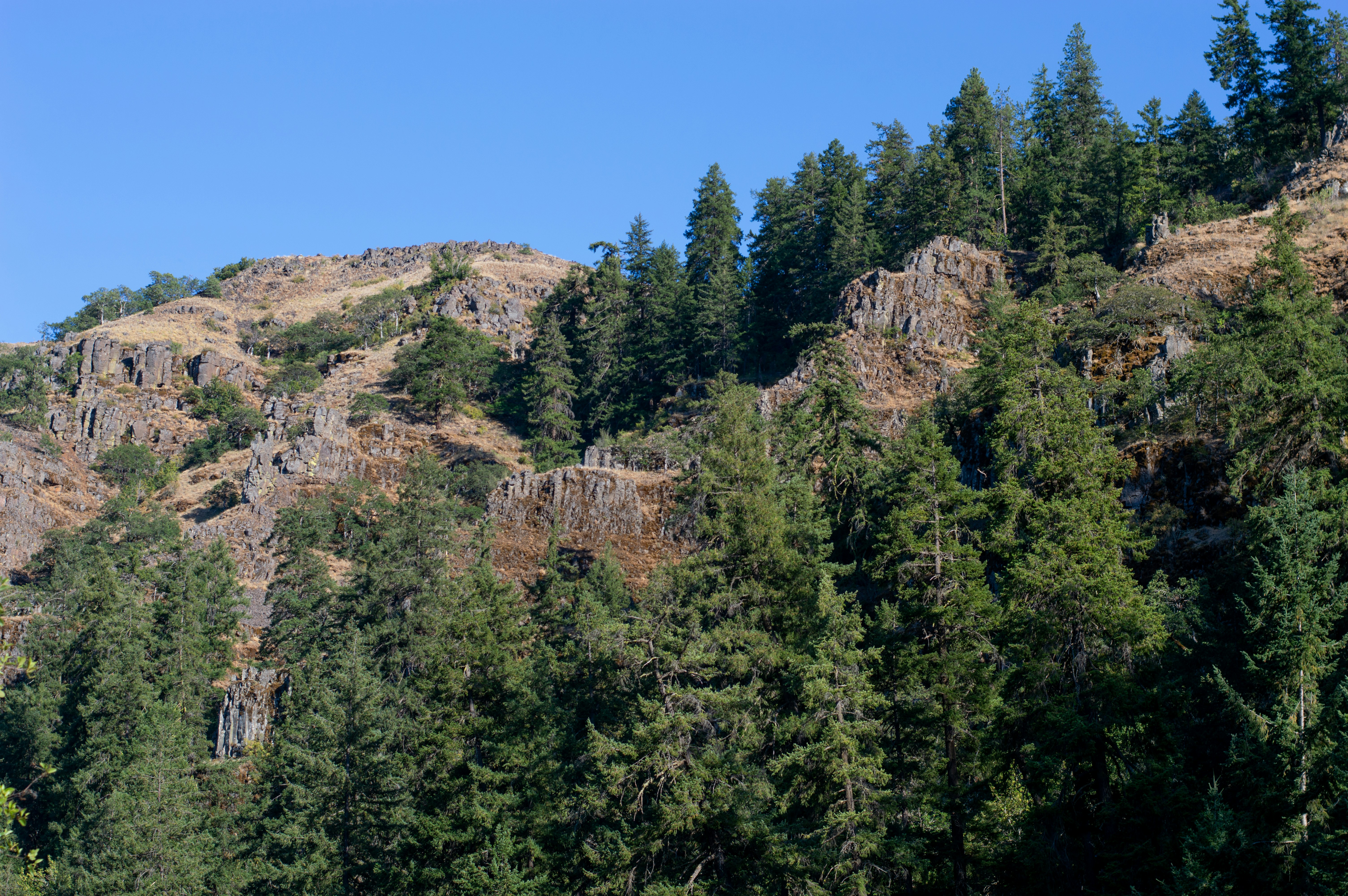 Photo by aliavictoriaphotography