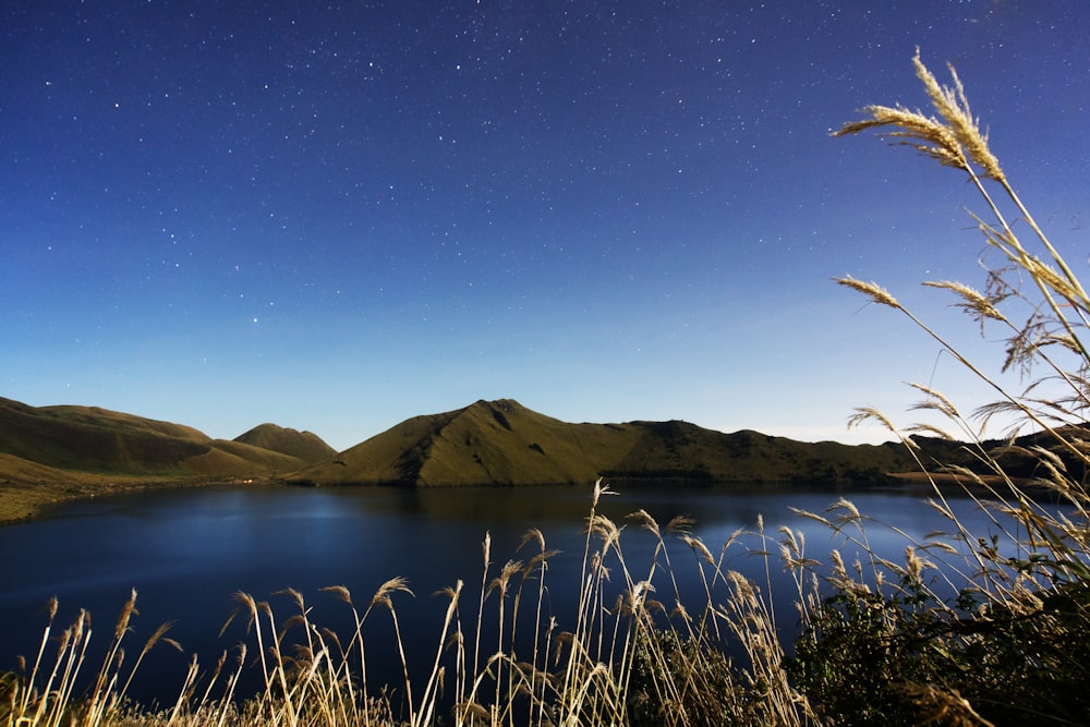 green grass near lake and mountains during night time