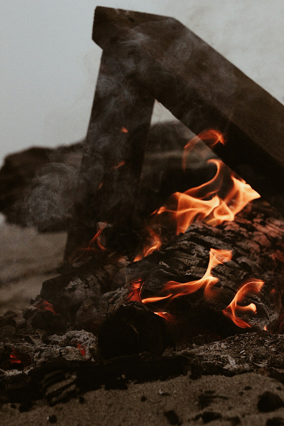 burning wood on fire pit