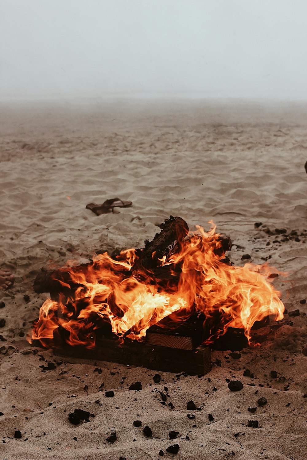 burning wood on beach shore during daytime