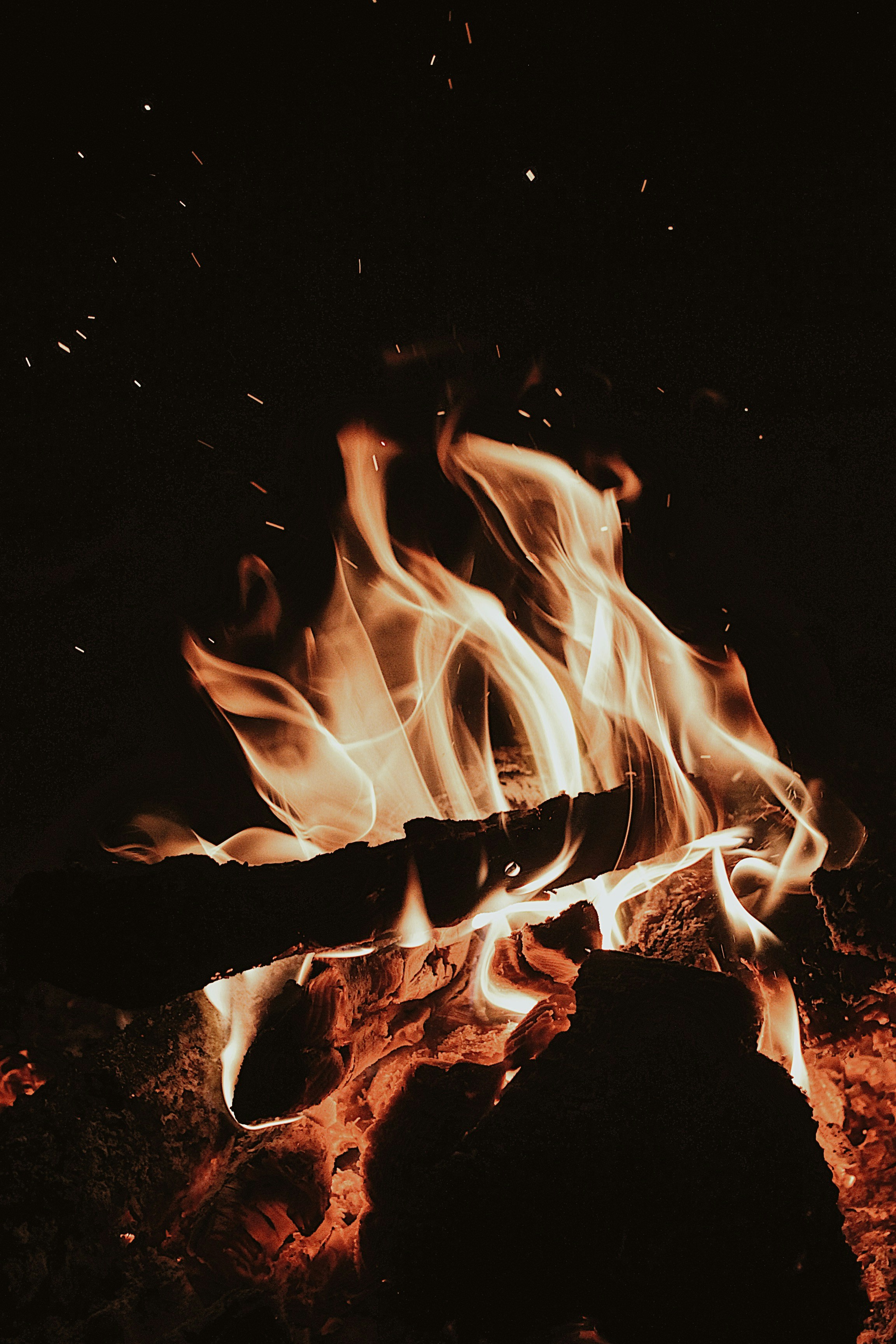 Photo by earthtokarly