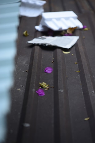Pieces of crumpled newspaper and styrofoam are scattered on a textured surface. Purple flower petals and dried leaves are also visible, suggesting a mix of natural and man-made debris.