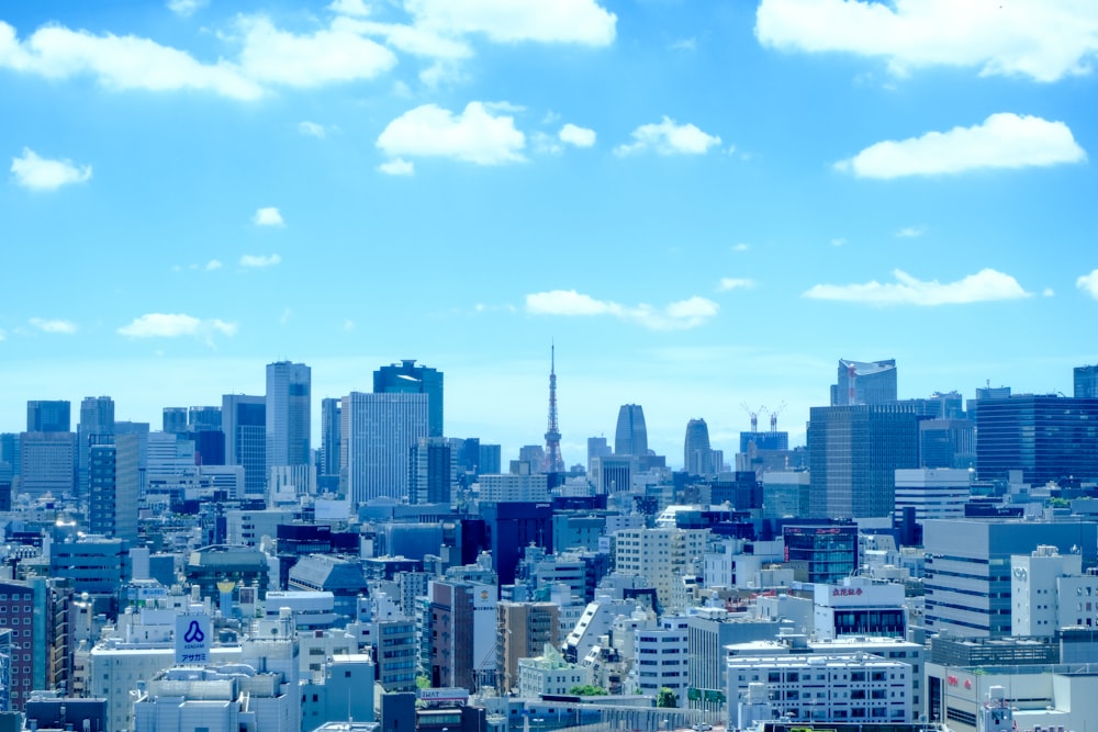 city skyline under blue sky during daytime