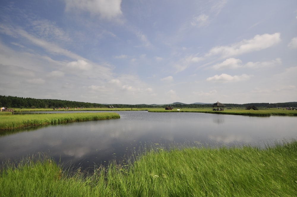 green grass field near lake under blue sky during daytime