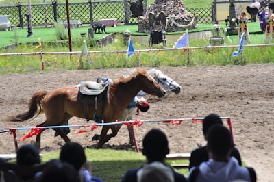 A horse race is taking place with a brown and a white horse racing neck and neck on a dirt track. A rider leans low as the horses gallop past spectators in the foreground. The track is bordered with colorful flags and banners. In the background, there is a green field with decorative structures and statues.