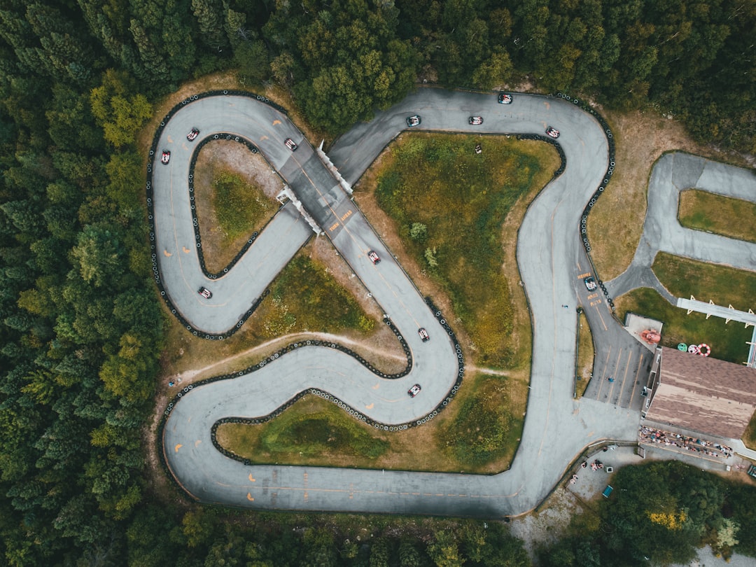 aerial view of green trees and gray road