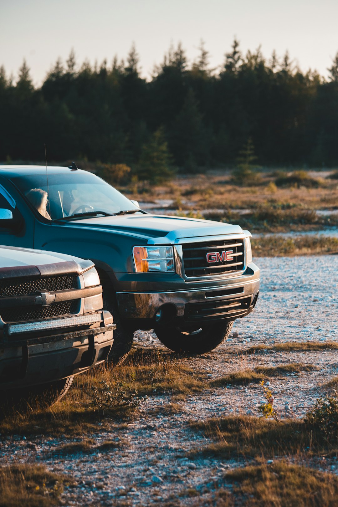 blue chevrolet car on brown grass field during daytime