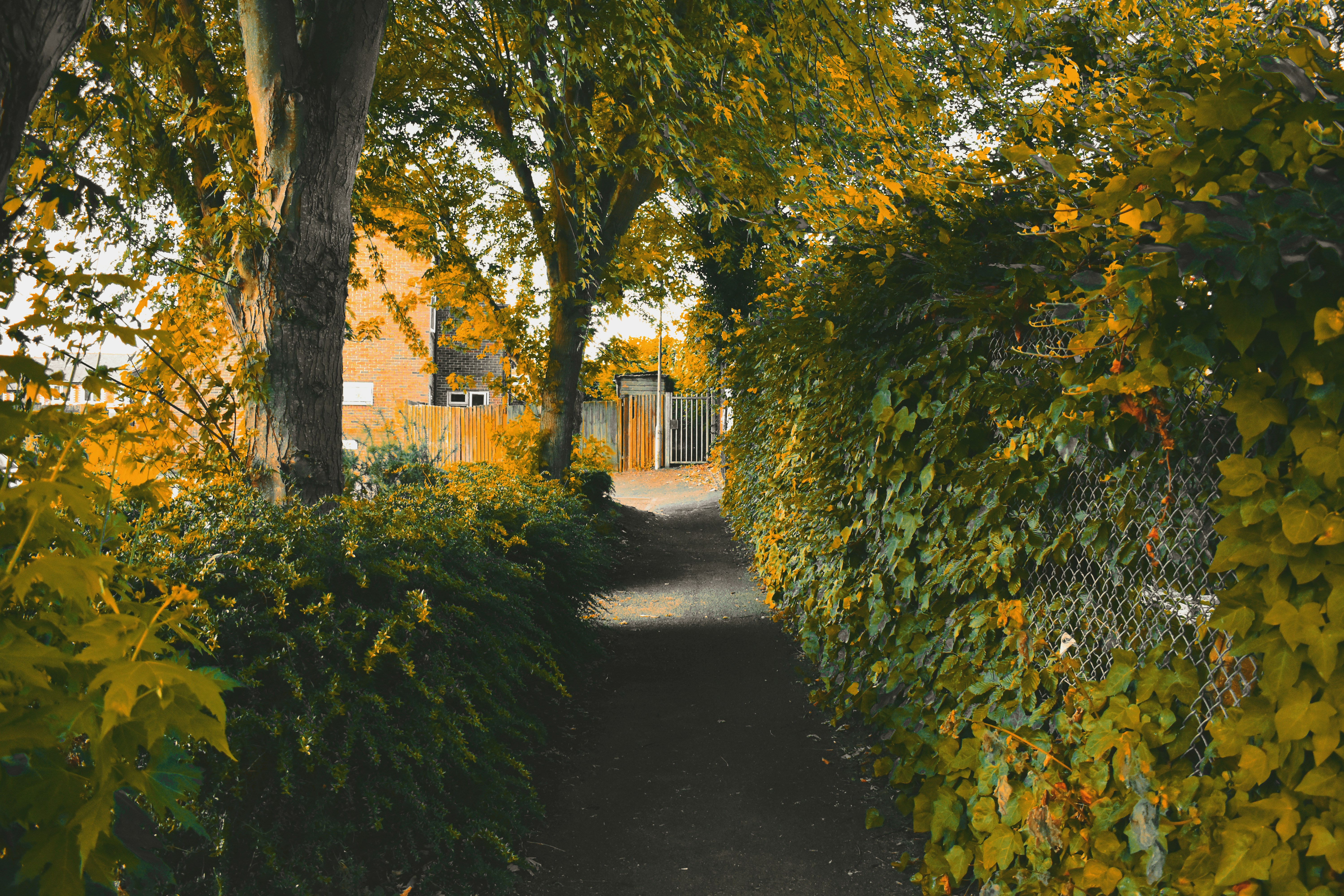 読書環境を最適化すると理解力は2倍になる？集中空間術関連画像