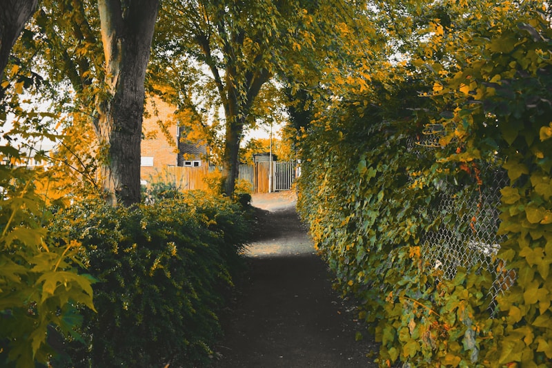Reading Environment