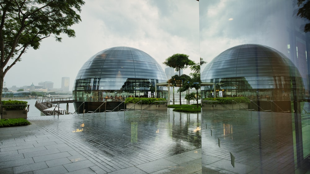 glass building near green trees during daytime