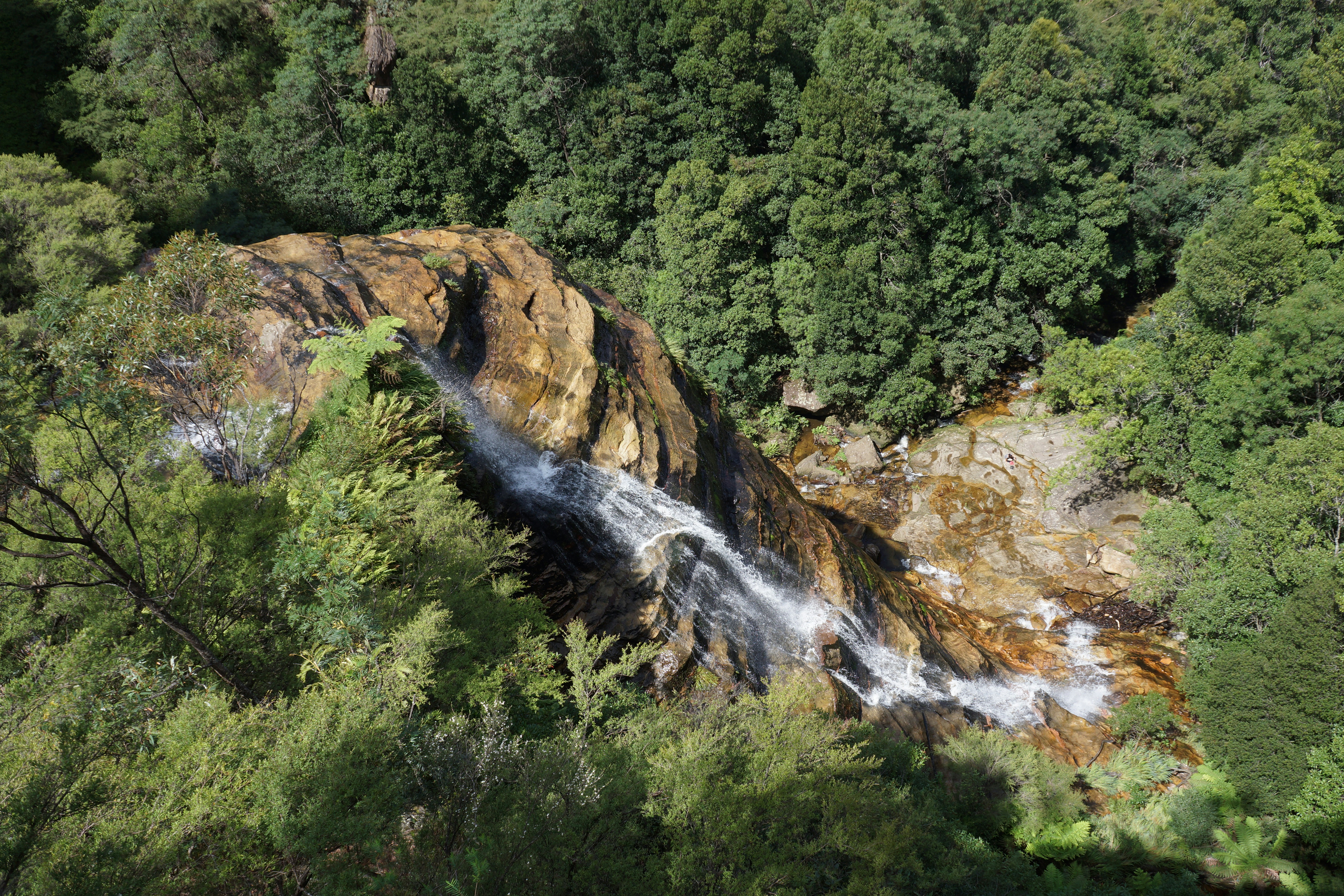 Grüne Bäume und Fluss tagsüber