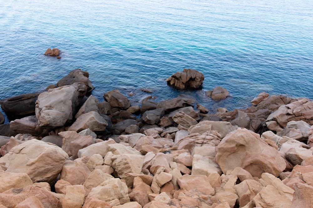 brown rocks near body of water during daytime