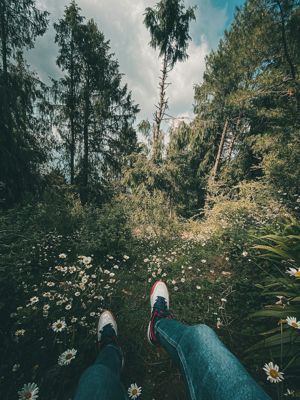 person in blue denim jeans and red sneakers sitting on rock in front of green trees