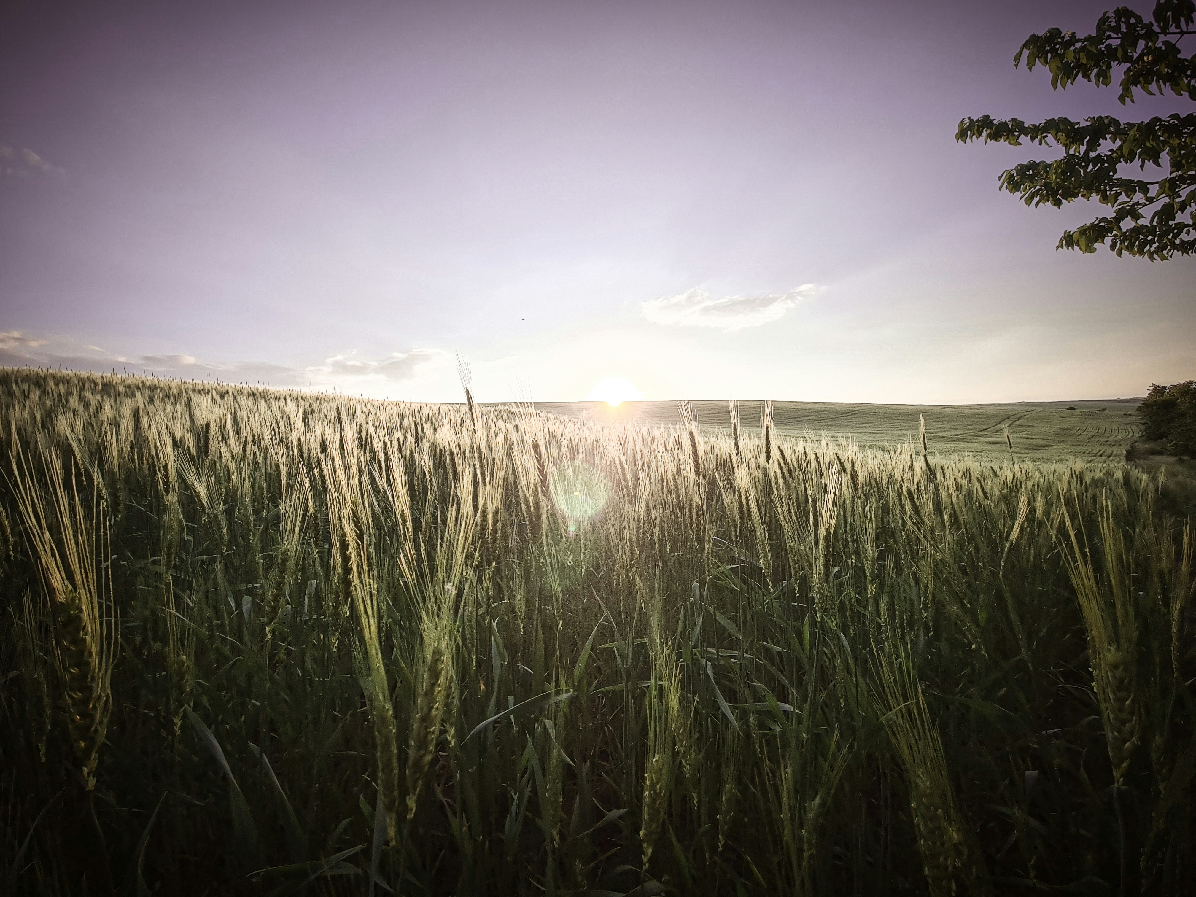 Photo by misu_ntz_01