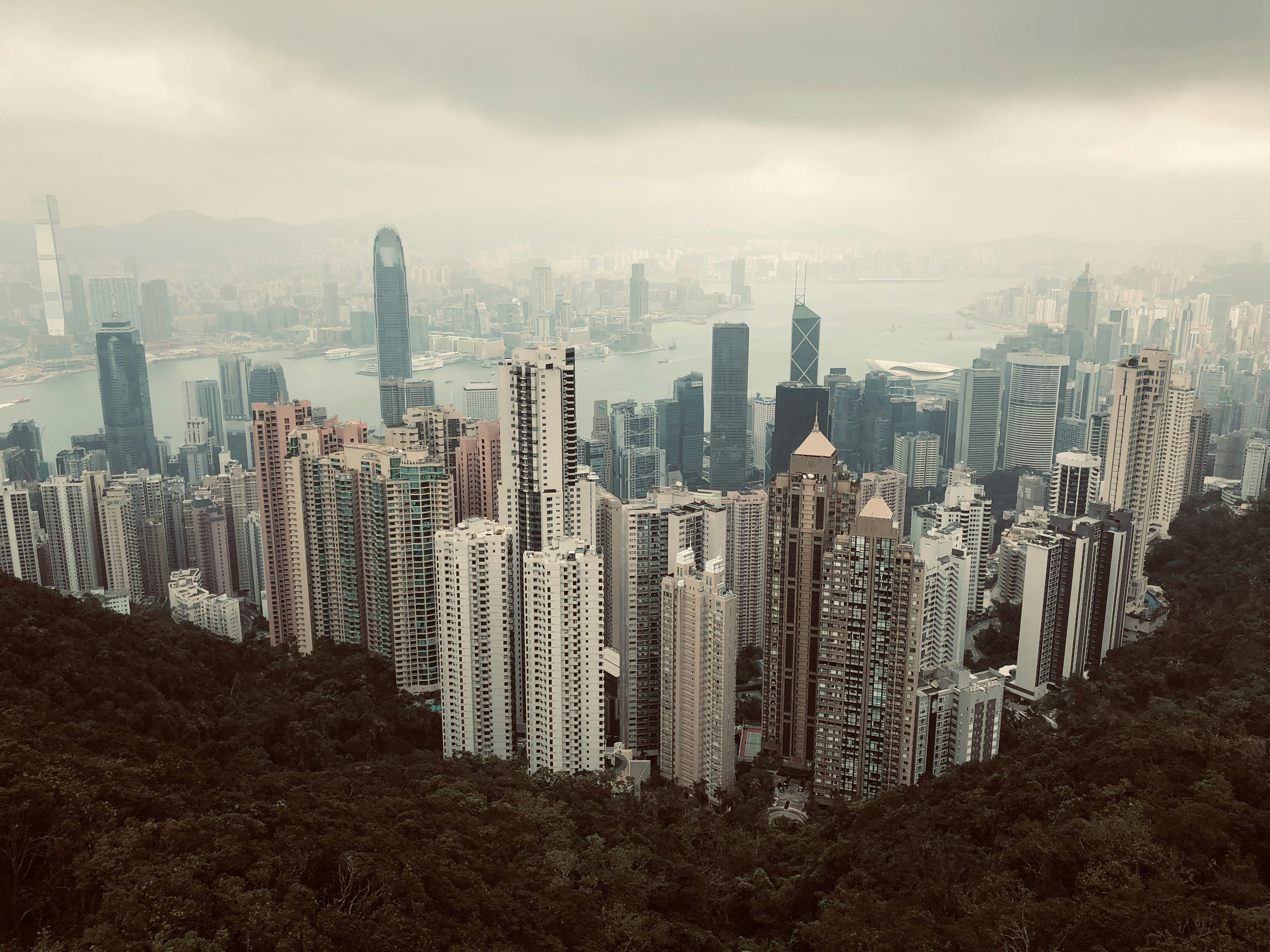 Photo by arashjoolaei