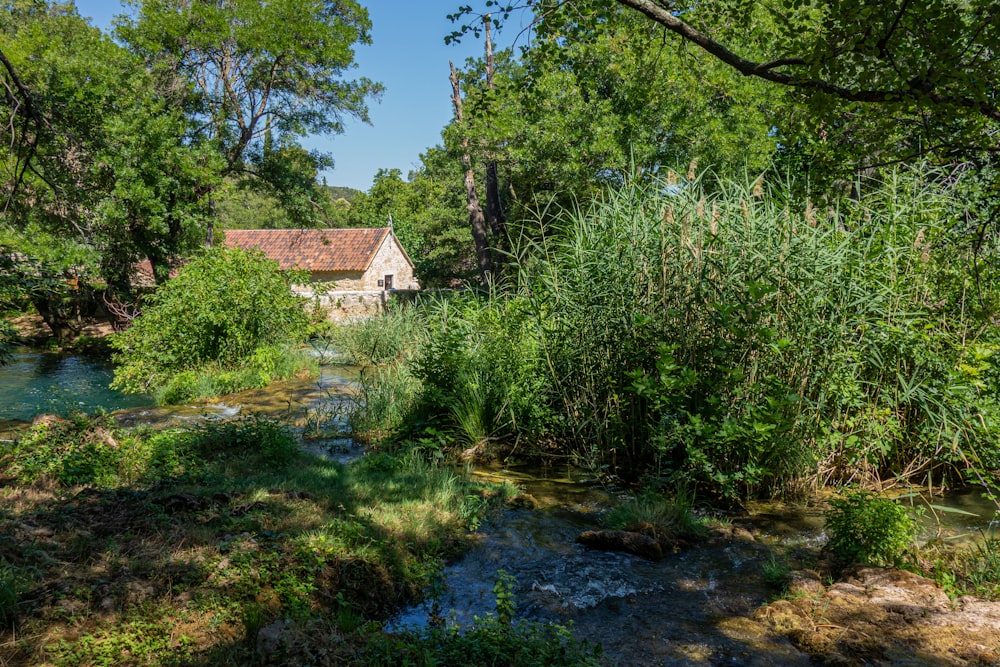 brown and white house near green trees and river during daytime