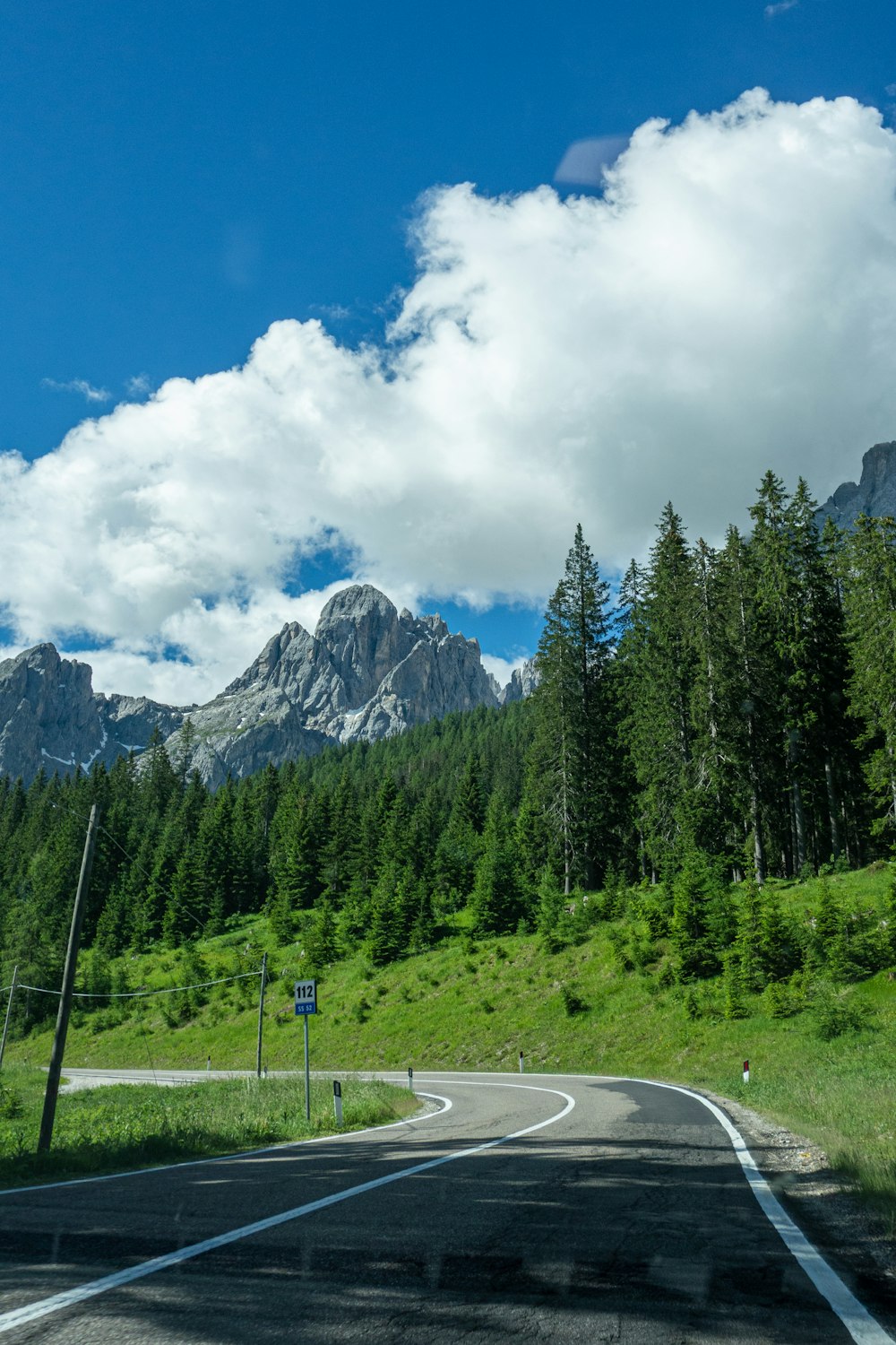 green pine trees near mountain under blue sky during daytime