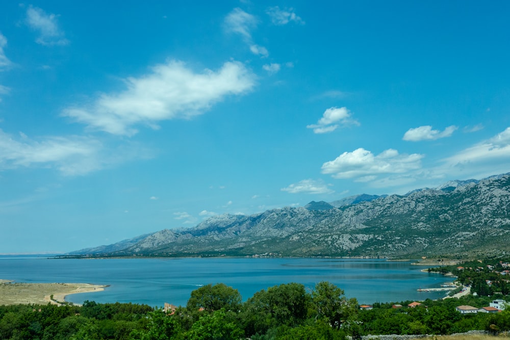 green trees near body of water under blue sky during daytime