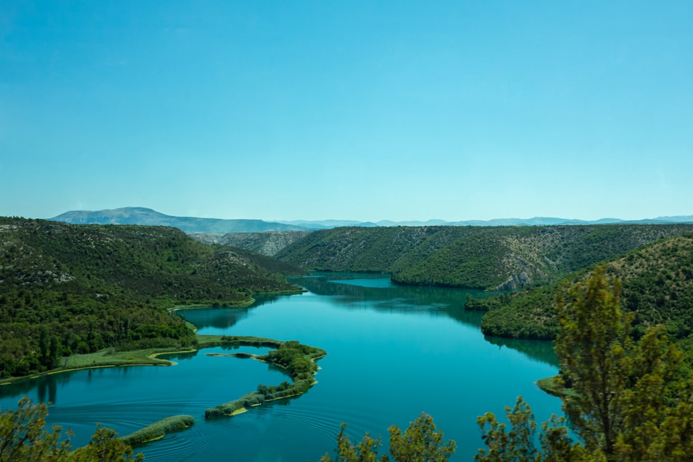 green trees near lake under blue sky during daytime