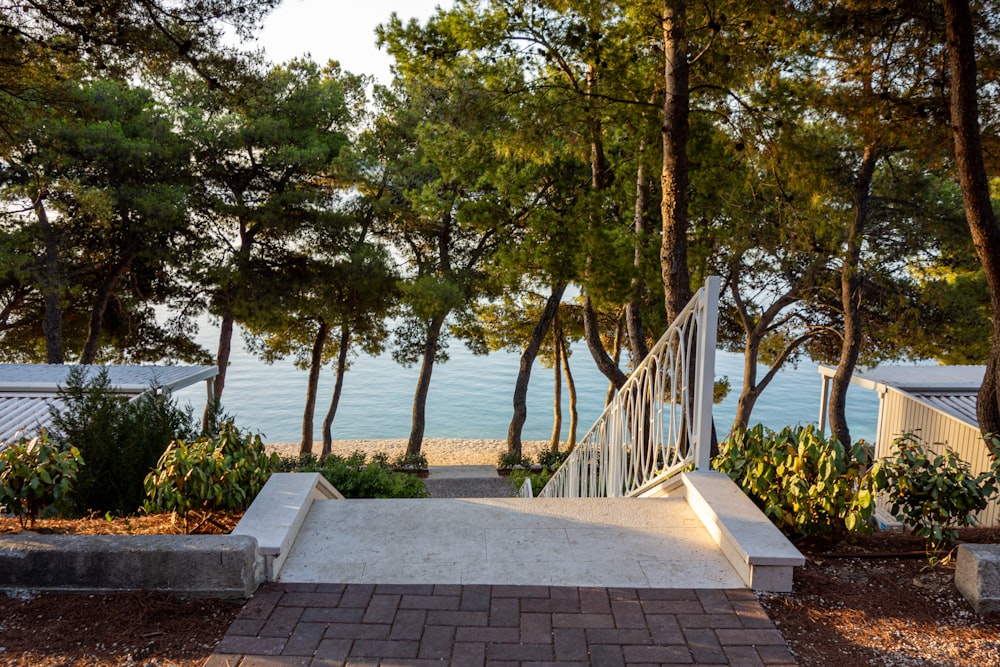 green trees near body of water during daytime