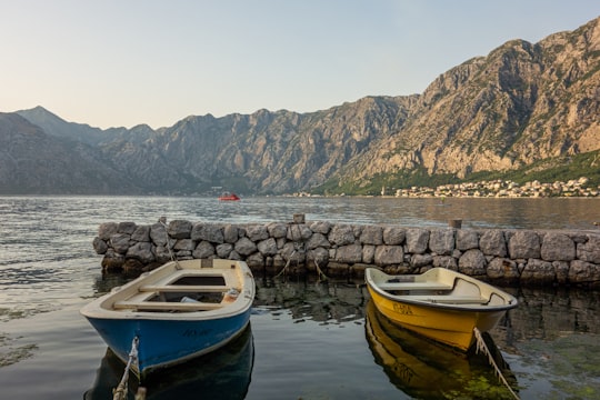 white and brown boat on water near gray rocks during daytime in Perast Montenegro