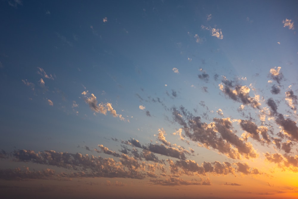 flock of birds flying over the clouds during sunset