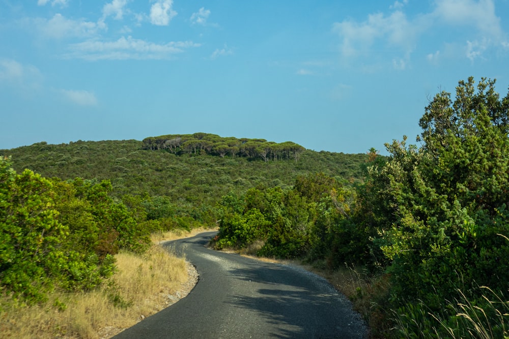 gray concrete road between green grass field under blue sky during daytime