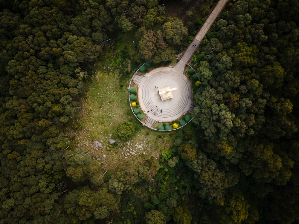 aerial view of green trees and white and green building