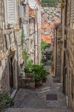 green potted plant on gray concrete floor