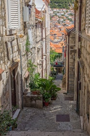green potted plant on gray concrete floor