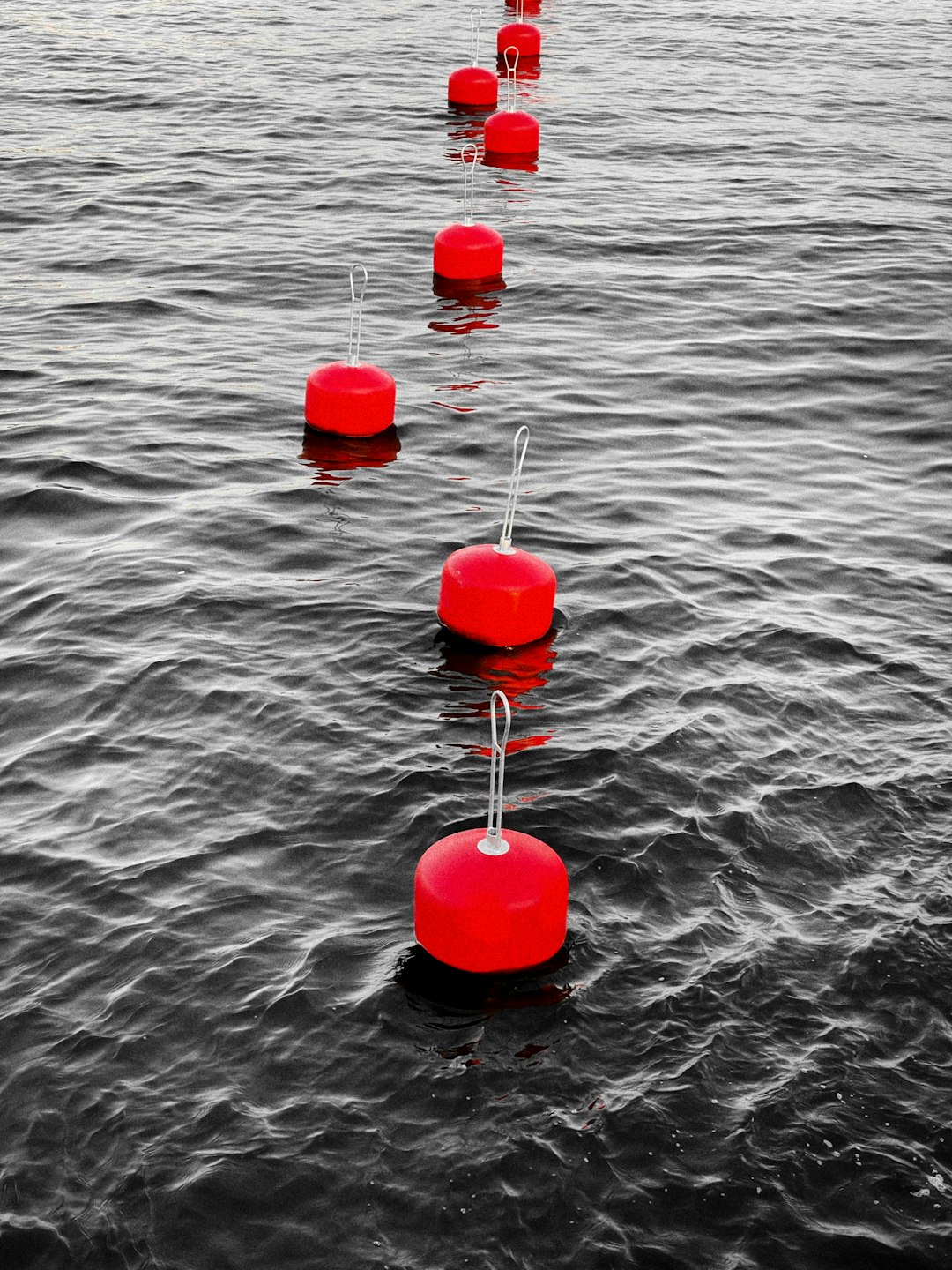 red and blue balloons on water