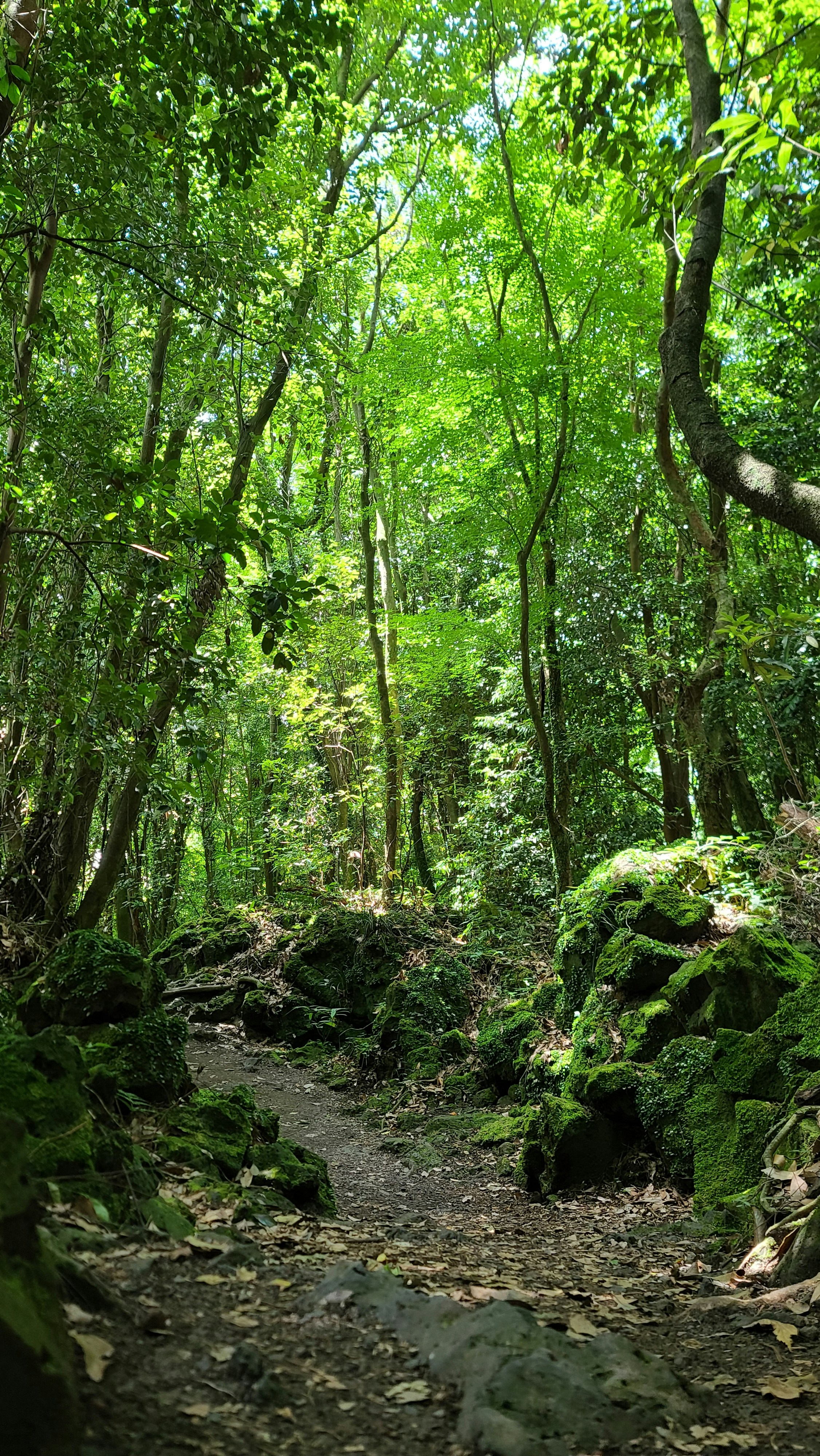 Photo by chadmin_pictures