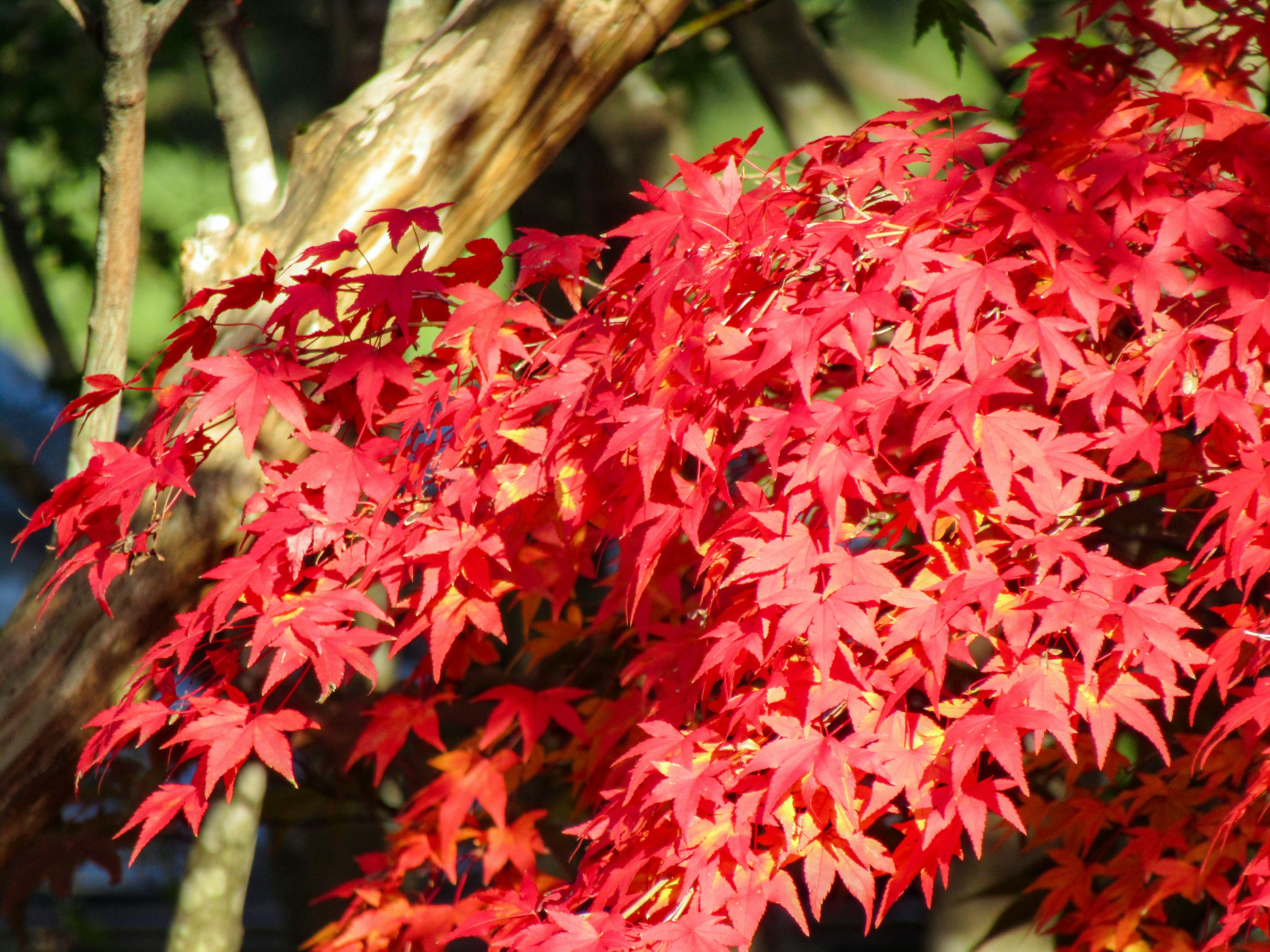 Photo by heppoko_yama