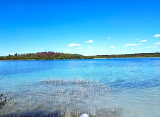 A tranquil lake with clear blue water reflecting a bright blue sky dotted with small clouds. Lush green trees line the distant shoreline, adding a natural contrast to the vivid blue tones. Sparse reeds emerge from the shallow foreground, suggesting a serene and untouched environment.