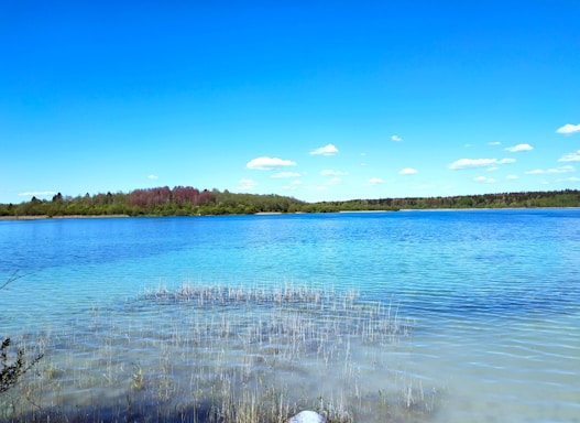 A tranquil lake with clear blue water reflecting a bright blue sky dotted with small clouds. Lush green trees line the distant shoreline, adding a natural contrast to the vivid blue tones. Sparse reeds emerge from the shallow foreground, suggesting a serene and untouched environment.