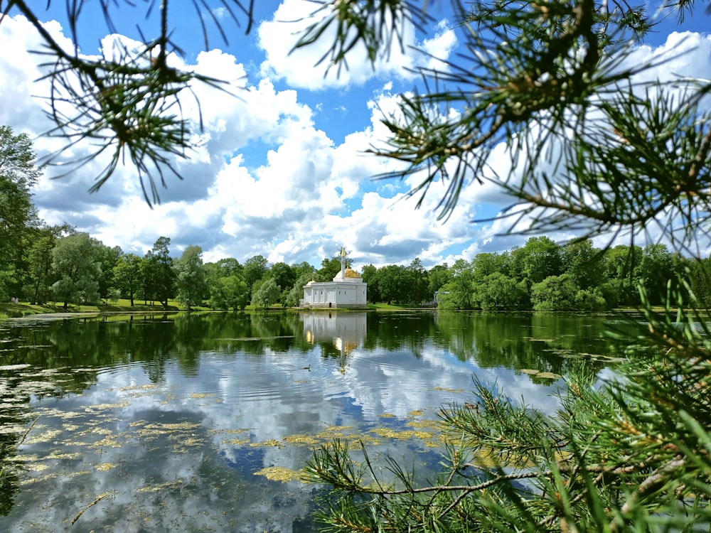 green trees beside body of water under blue sky during daytime