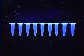 white lights on black background